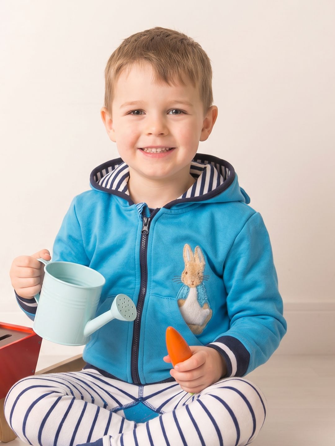 Peter Rabbit Blue Hoodie