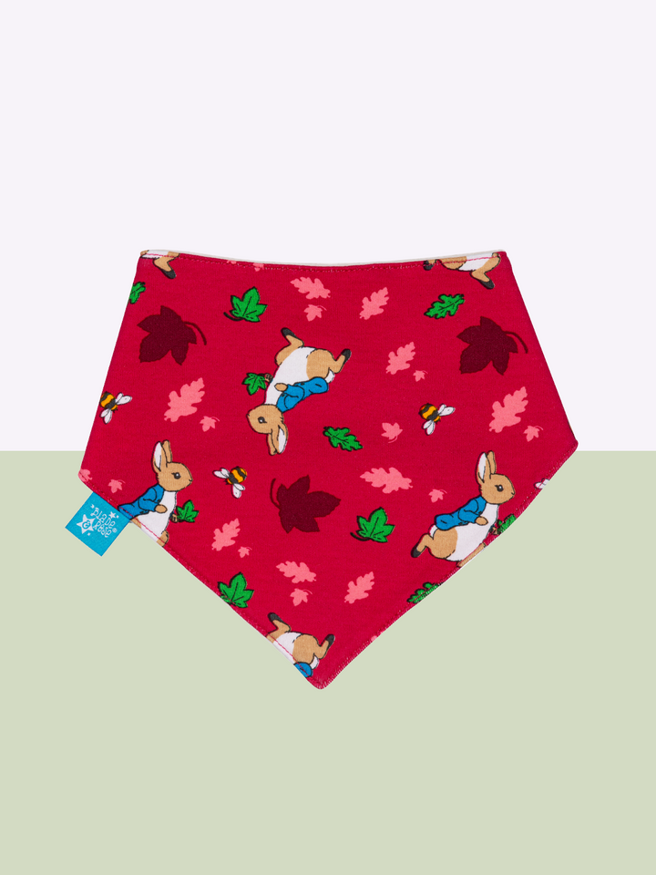 Baby Girl Bibs Gifting Set