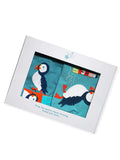 Kenzie the Puffin Gifting Set