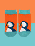 Kenzie the Puffin Socks