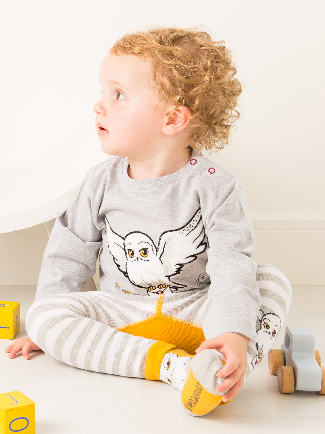 Harry Potter™ Hedwig Gift Box Set