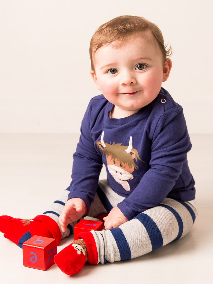 Hamish Highland Cow Gift Box Set