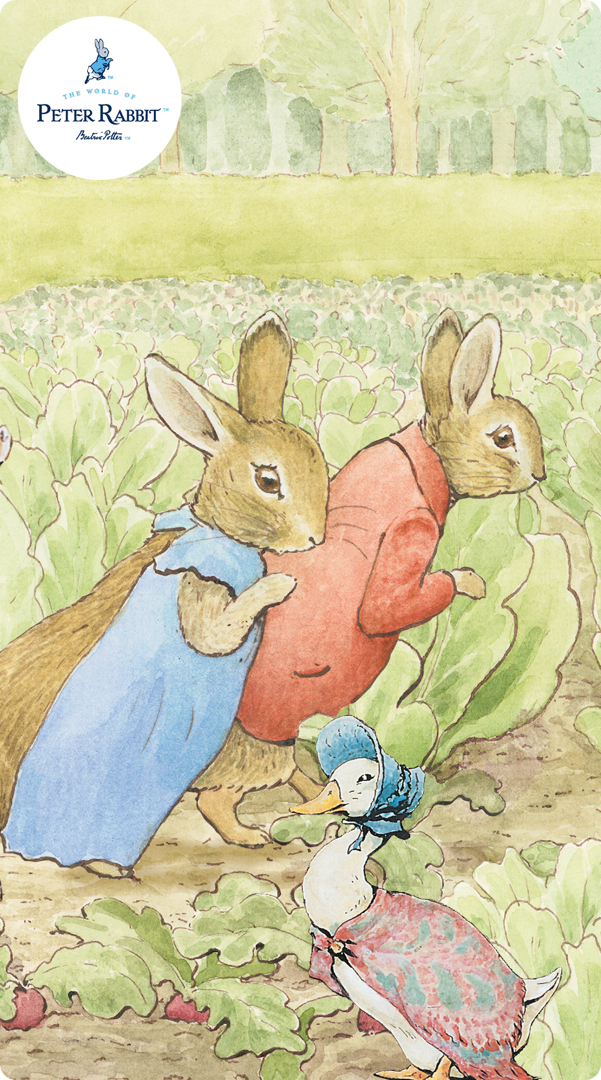 Peter Rabbit™