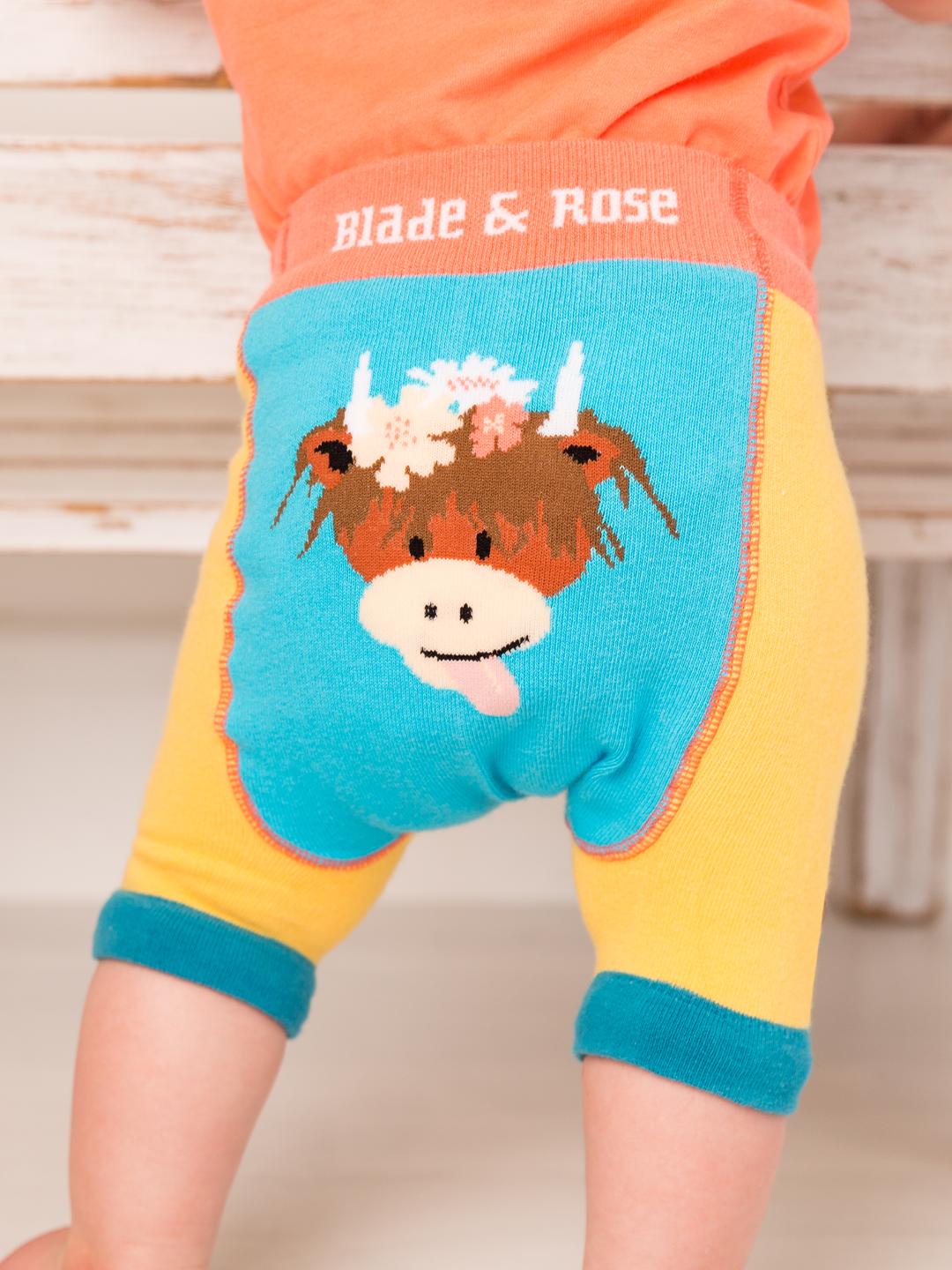 Bonnie Highland Cow Summer Outfit (2PC)